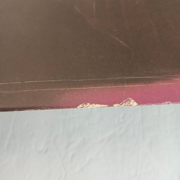 Stevie Nicks The Wild Heart Vinyl LP Album Vintage 1983 Lyric Sheet Modern - Picture 9 of 11